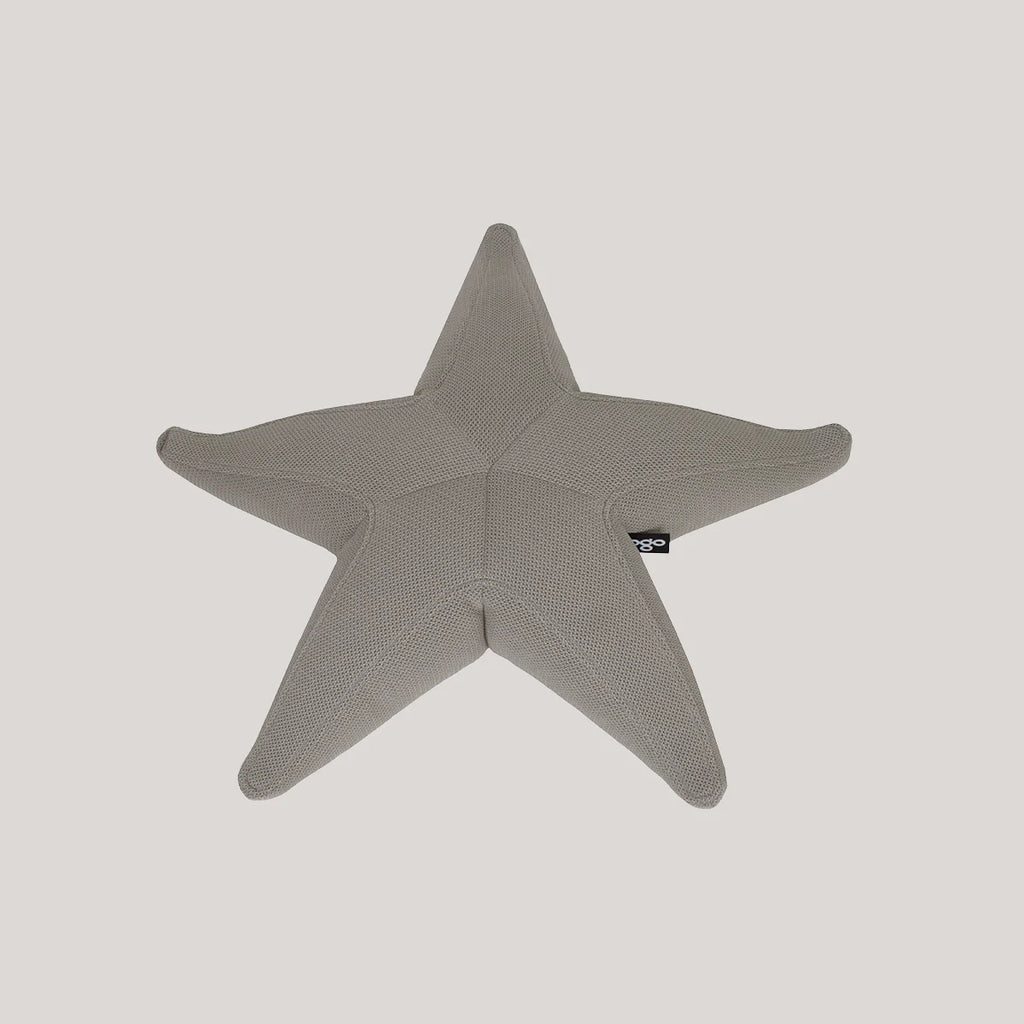 Starfish floating star
