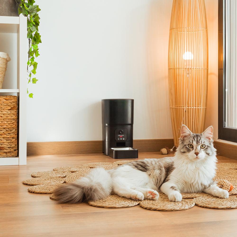 Pumba 6000 Purrfect Meal Smart Vision