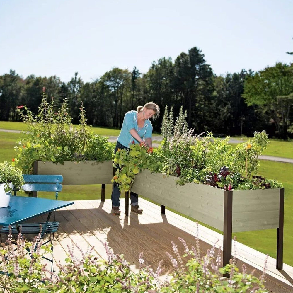 Special offer today in Mart: Last 30 sets of organic raised macetres with automatic irrigation and dyed finish