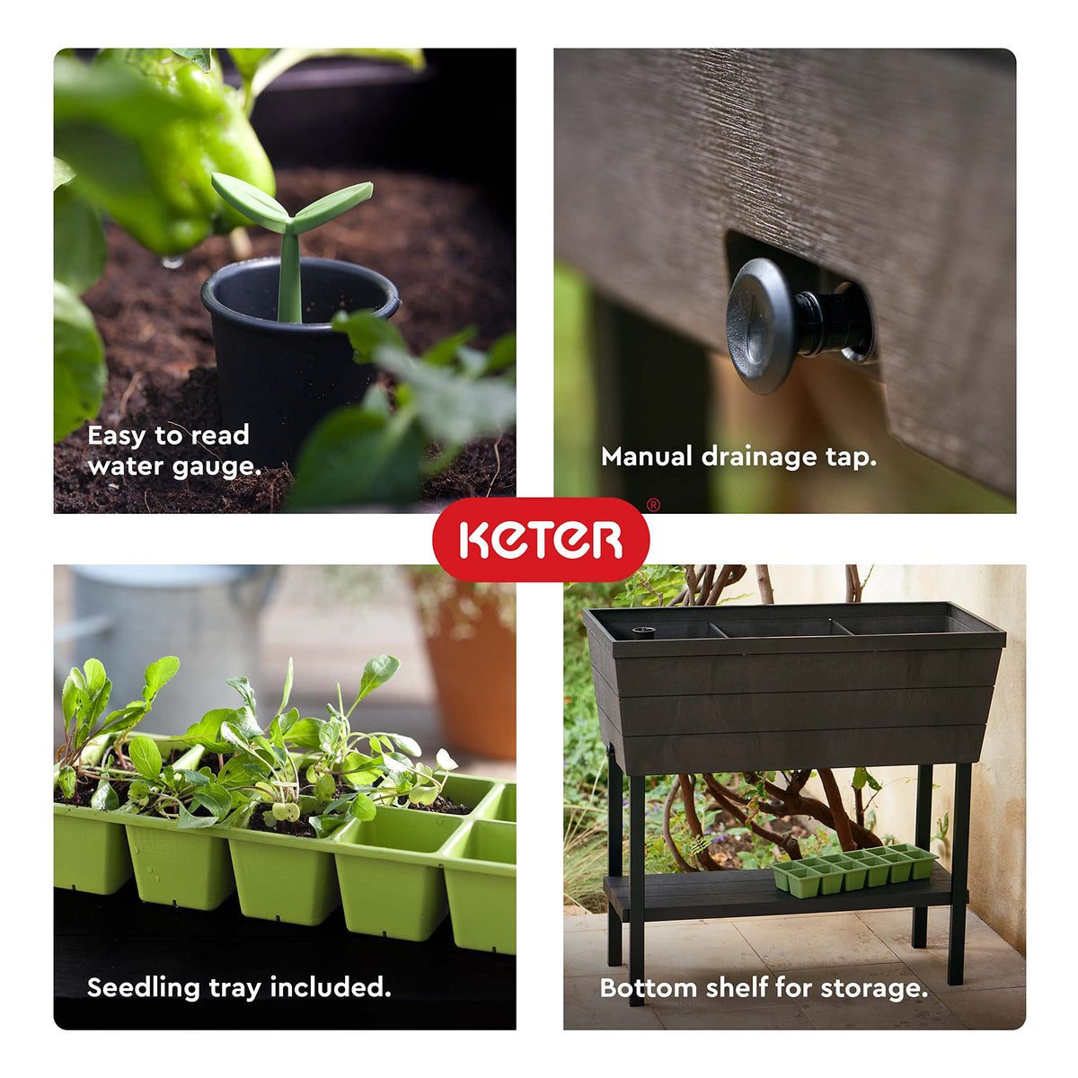Keter High Plastic Grape Bloomer
