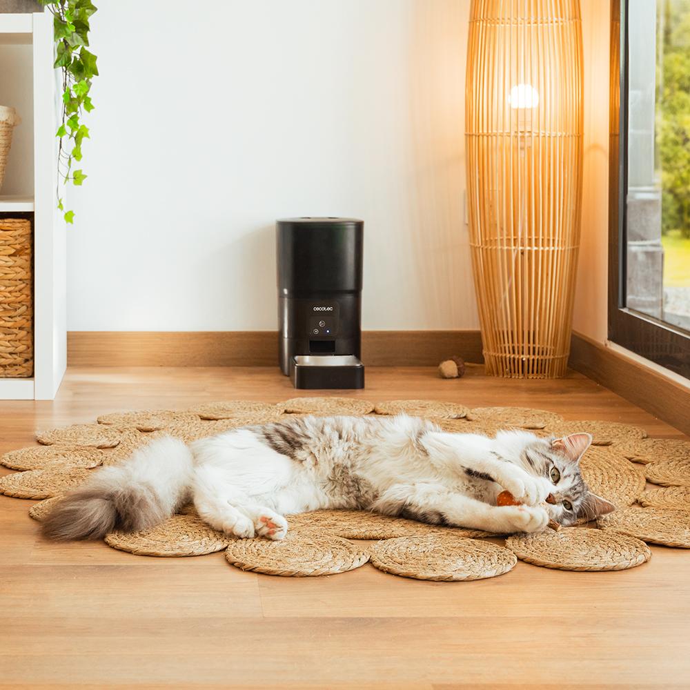 Pumba 6000 Purrfect Metal Smart