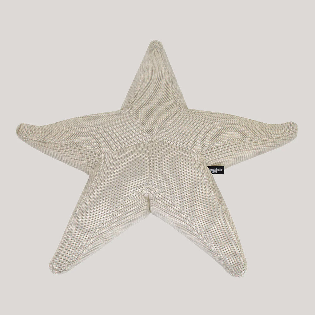 Starfish floating star