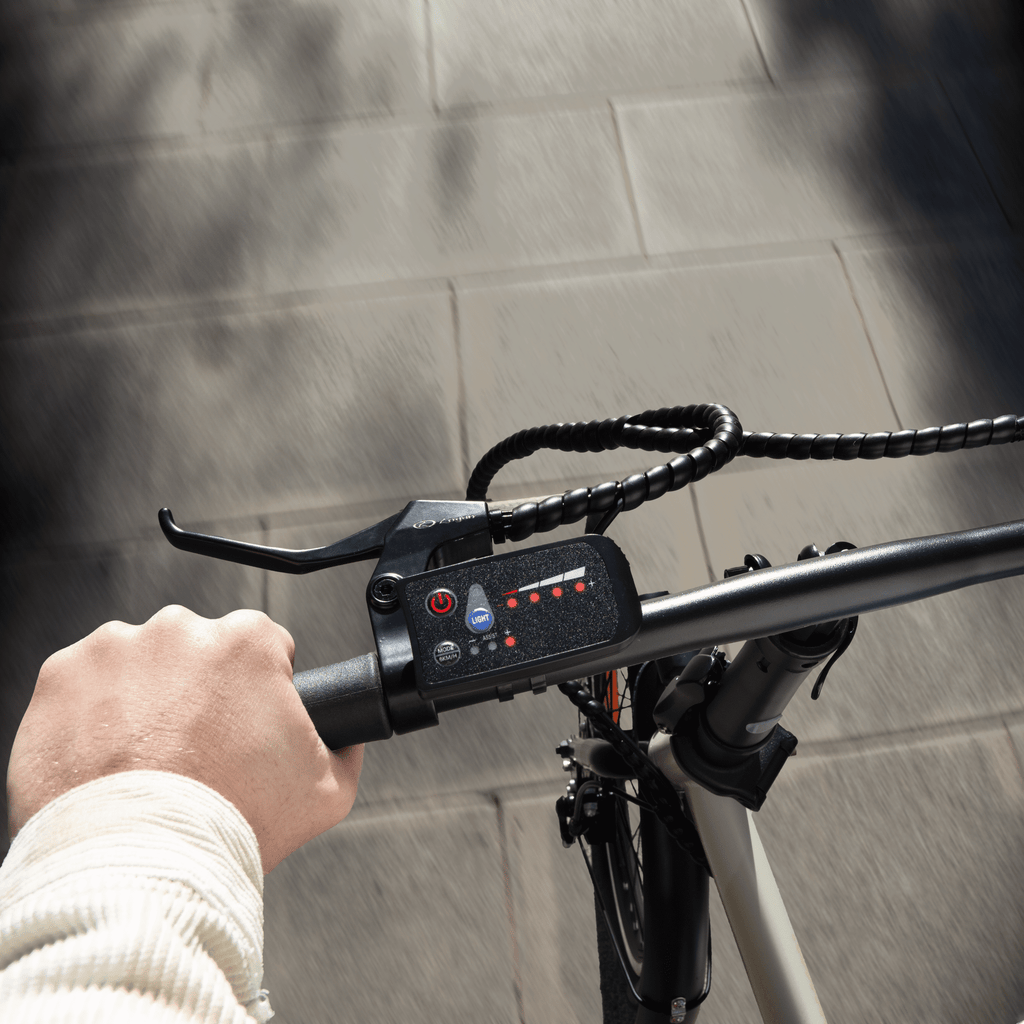 Flexy electric bike