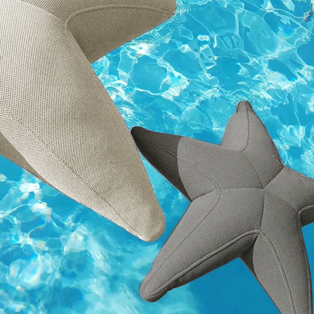 Starfish floating star