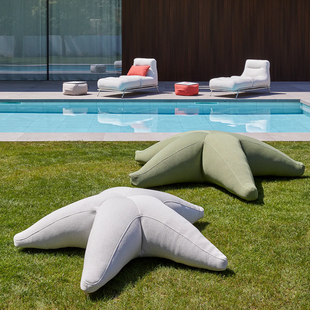 Starfish floating star
