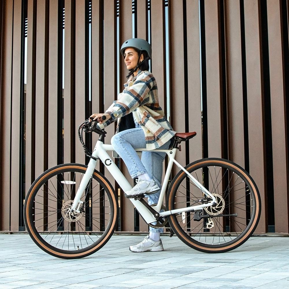 Electric bike Sprint