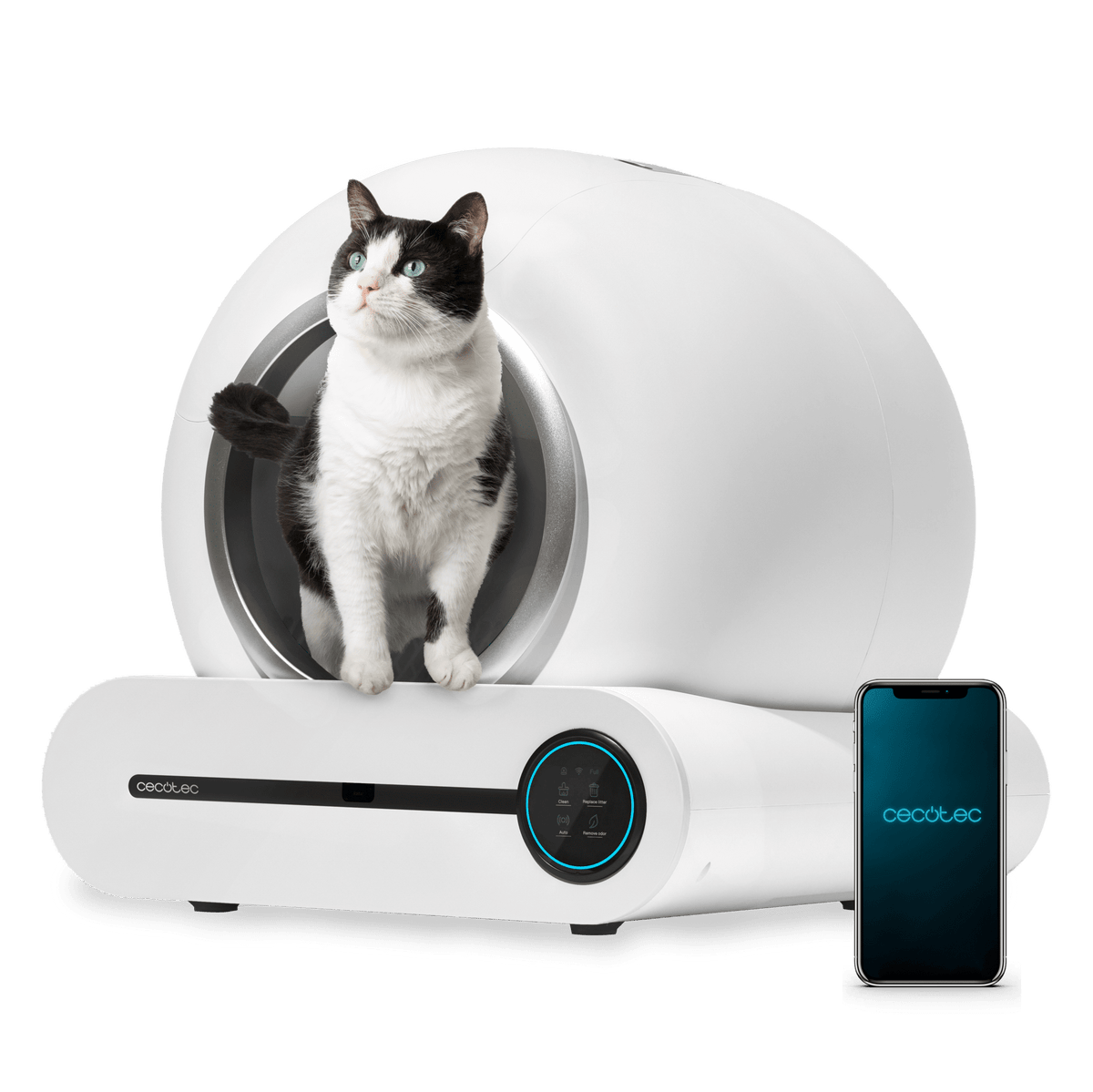 Pumba 8500 CleanKitty Smart