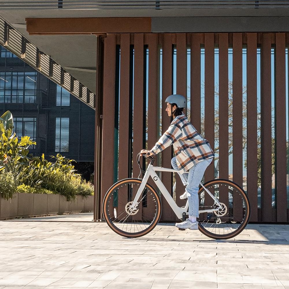 Electric bike Sprint