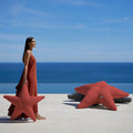 Starfish floating star