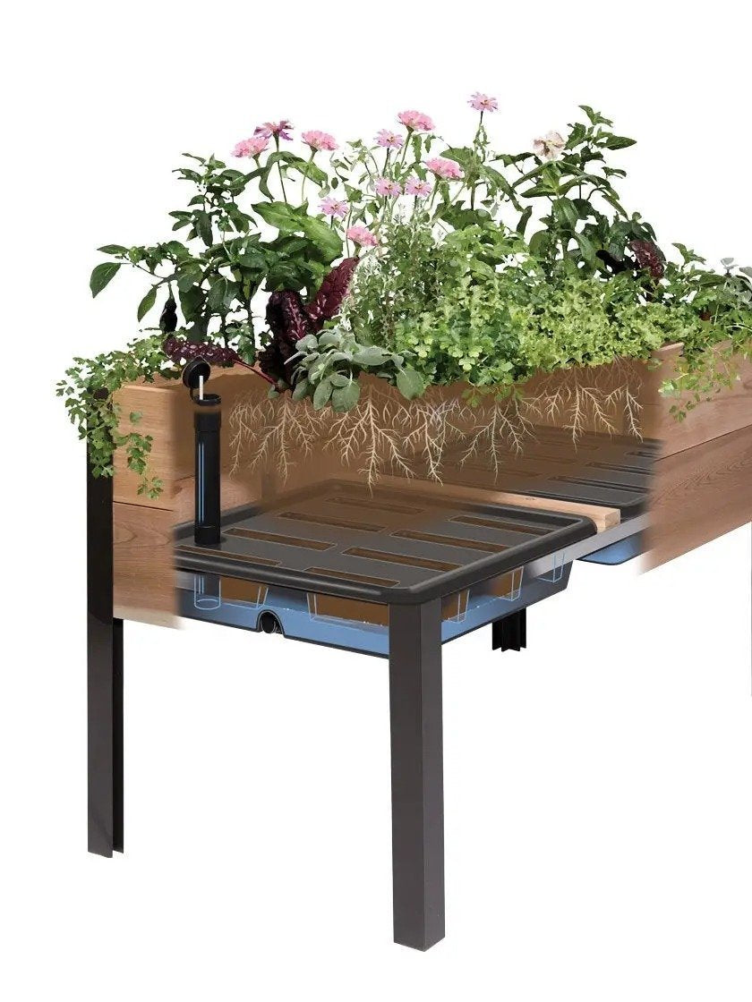 Special offer today in Mart: Last 30 sets of organic raised macetres with automatic irrigation and dyed finish