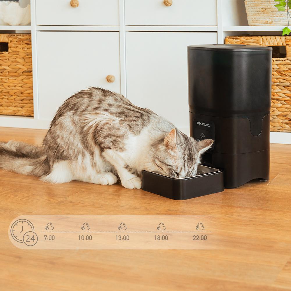 Pumba 6000 Purrfect Metal Smart