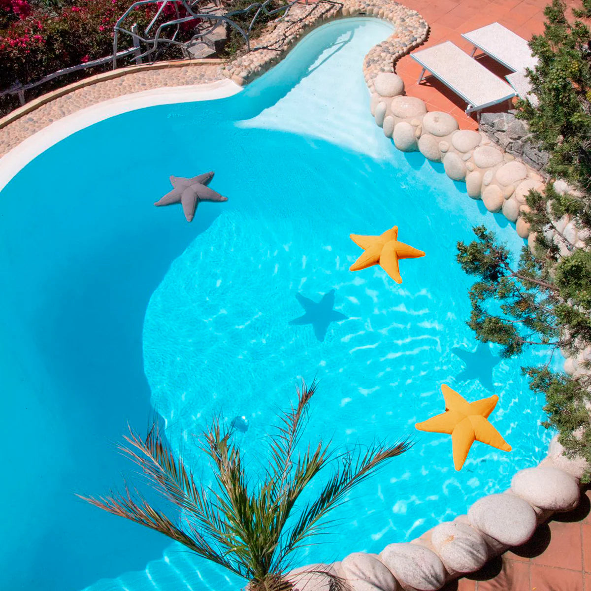 Starfish floating star