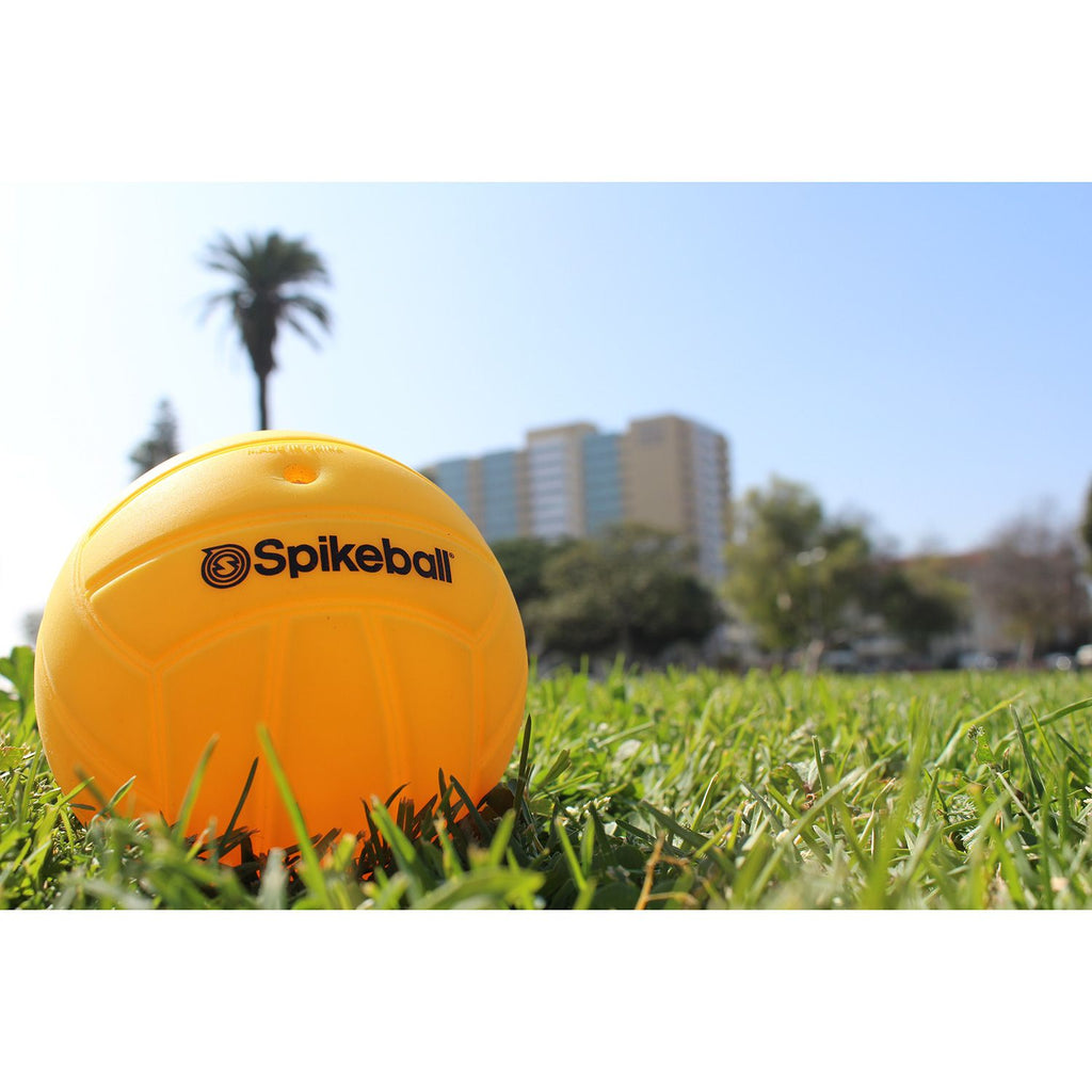 Package of 2 Spikeball Balls