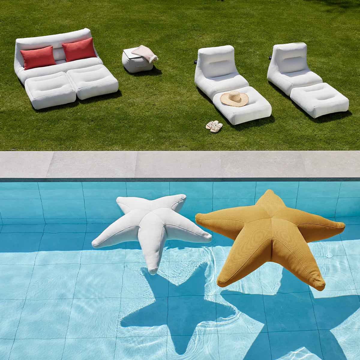 Starfish floating star
