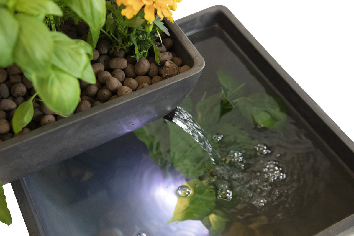 Source AquaSprouts: Hydroponic Water Garden, Aquaponic (8 Galons)