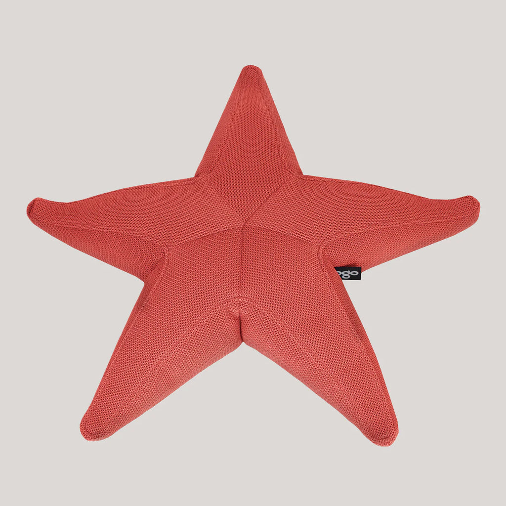 Starfish floating star