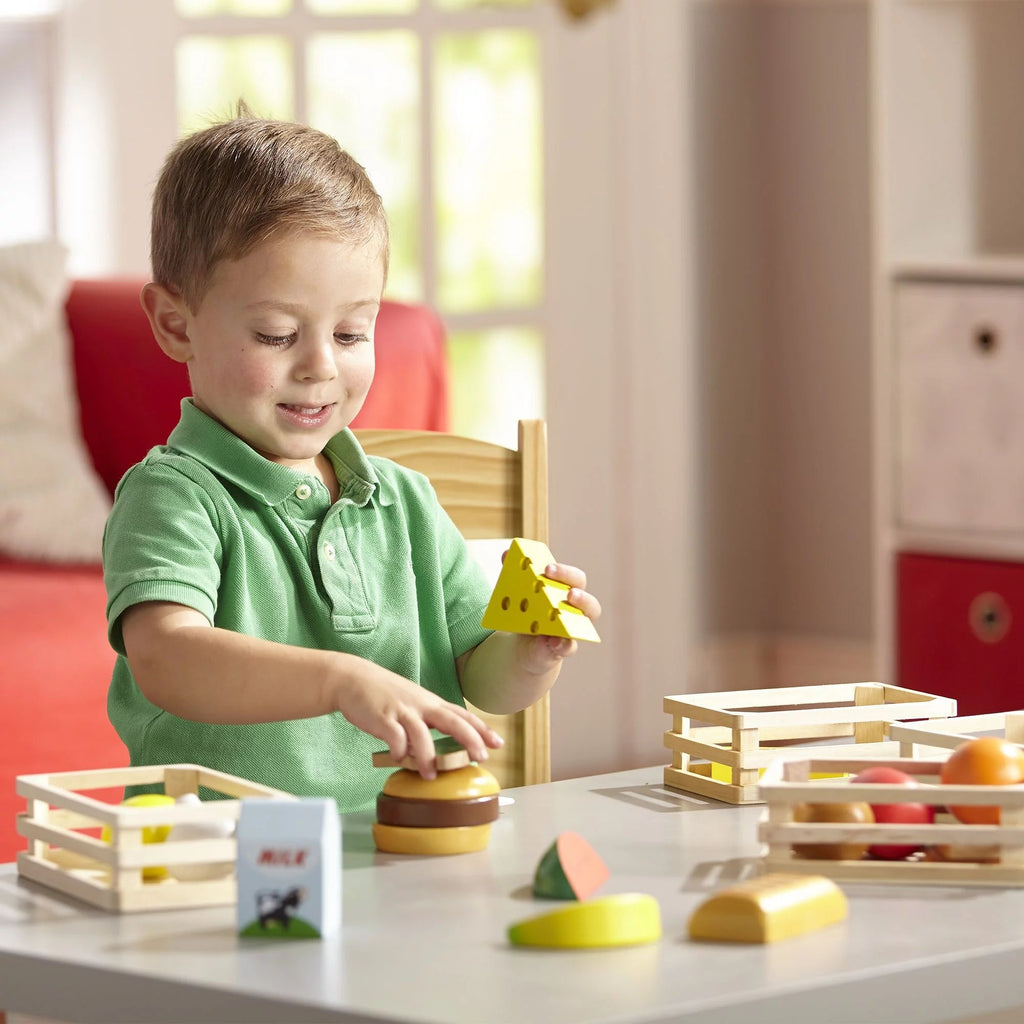Melissa & Doug Food Groups - 21 Wood Parts and 4 Boxes, Multicolor