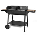 Barbecue S50 Carrefour