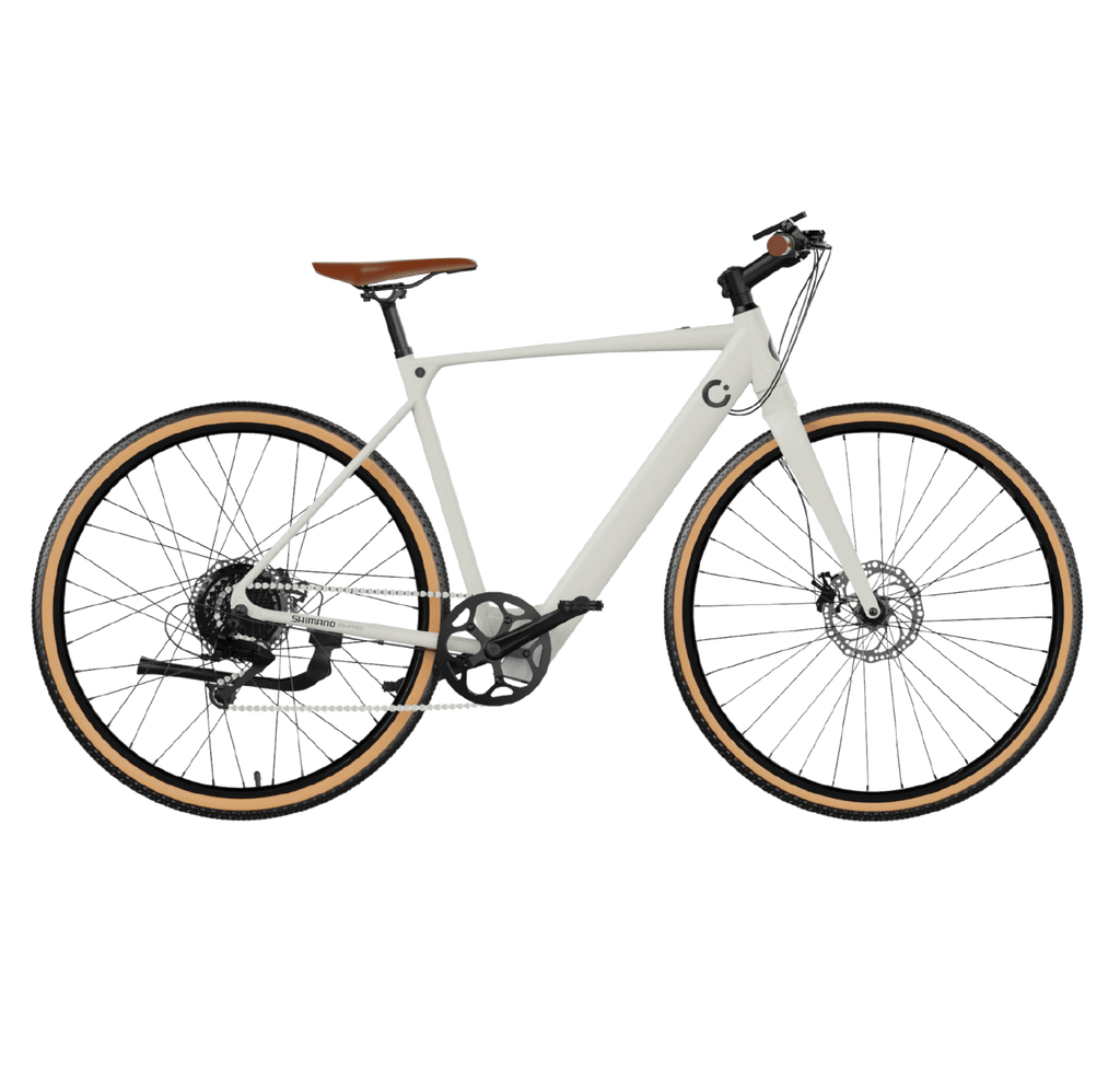 Electric bike Sprint