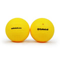 Package of 2 Spikeball Balls