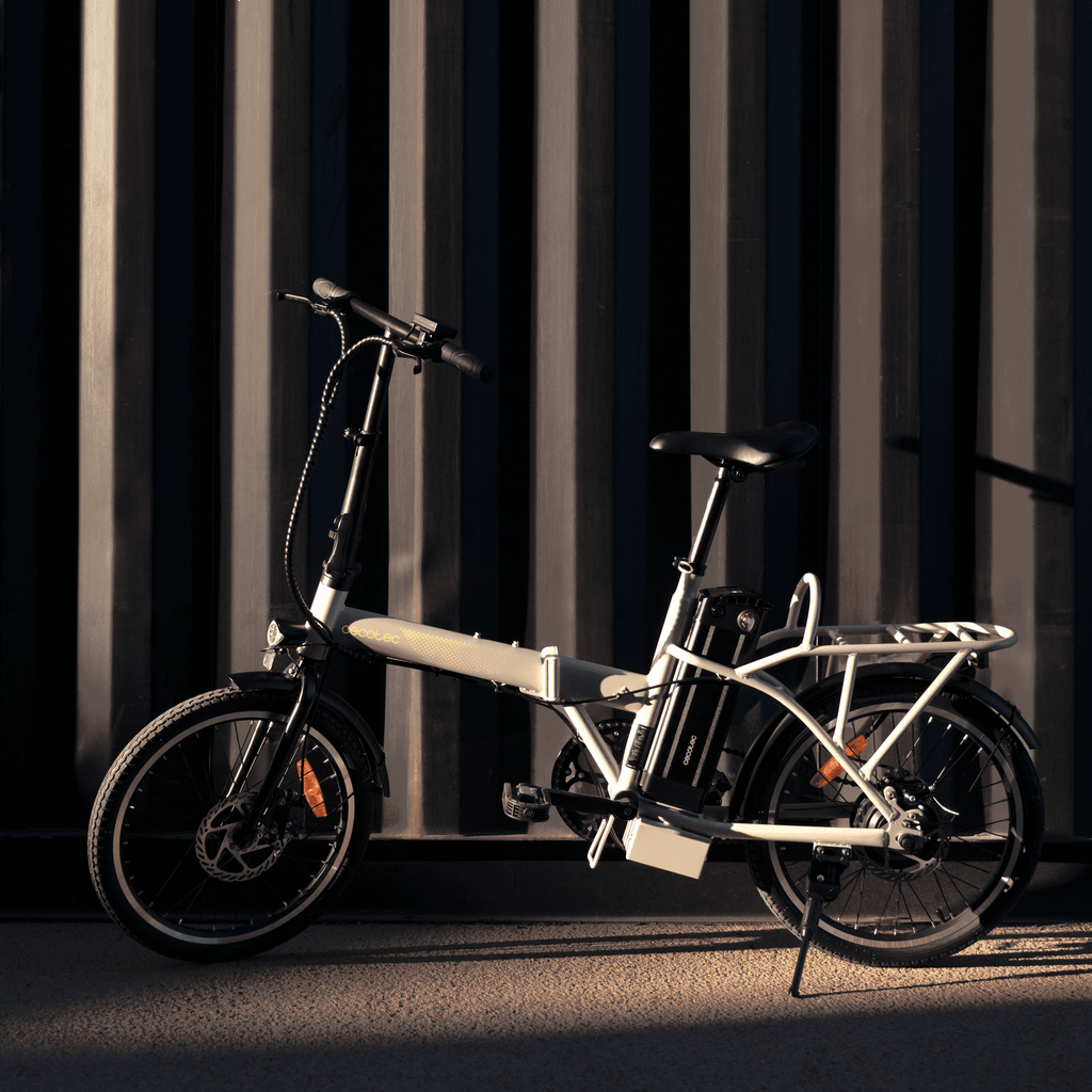 Flexy electric bike