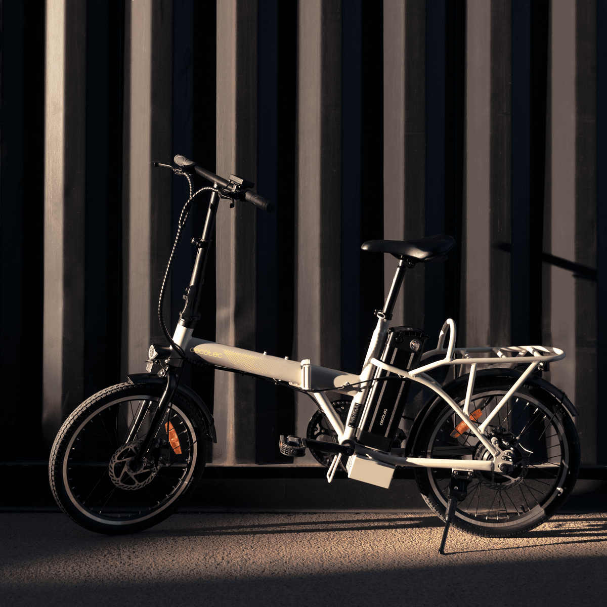 Flexy electric bike