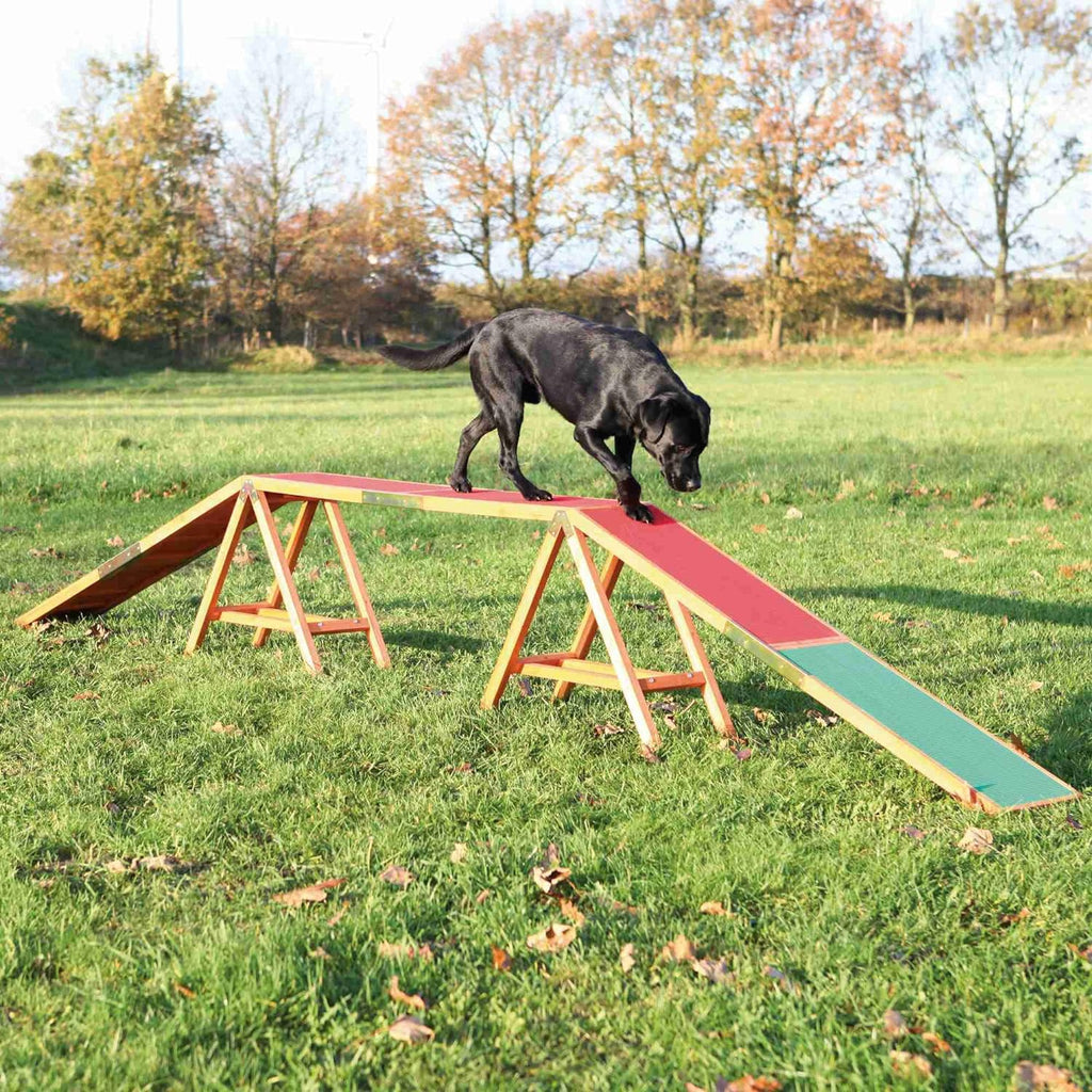 TRIXIE Agility Trailer for Dogs, Canine Agility Training and Obedience