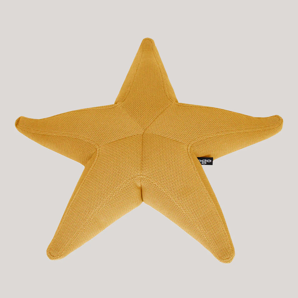 Starfish floating star