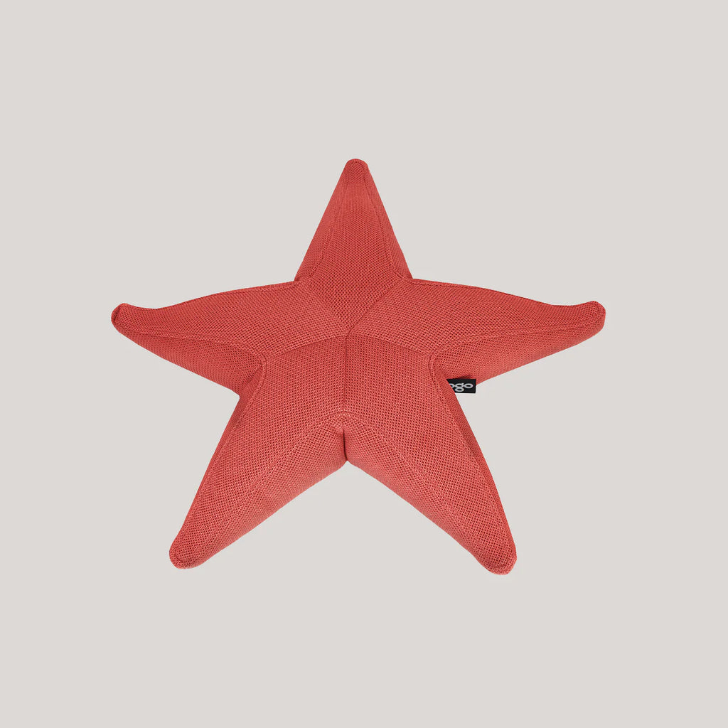 Starfish floating star