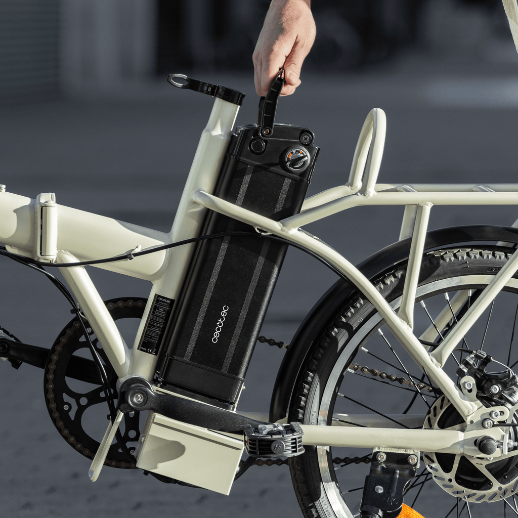 Flexy electric bike