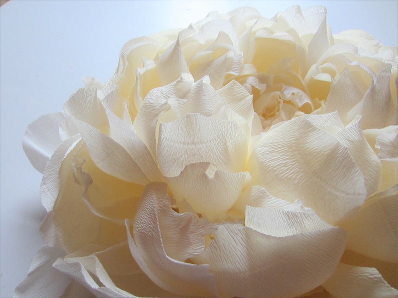 Large crepe wall ornaments with peony shape, gift decoration