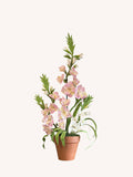 Gladiolus flowers made of realistic crepe paper in a terracotta pot.