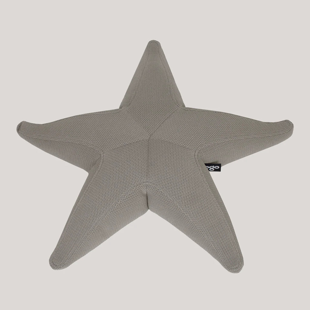 Starfish floating star
