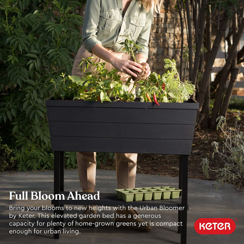 Keter Bloomer High Plastic Gardening in Grafito