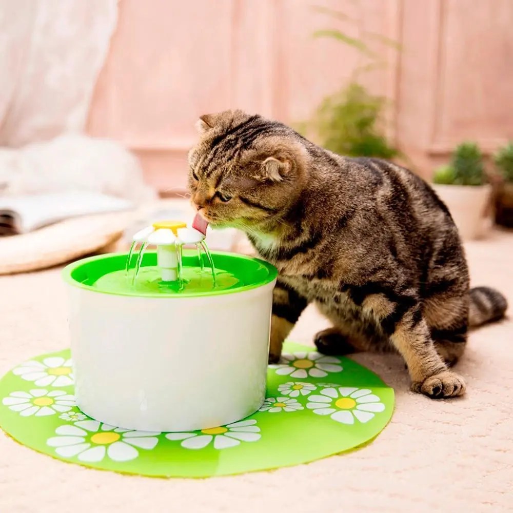 Automatic Source for Pets: Water Dispenser for Cats and Dogs