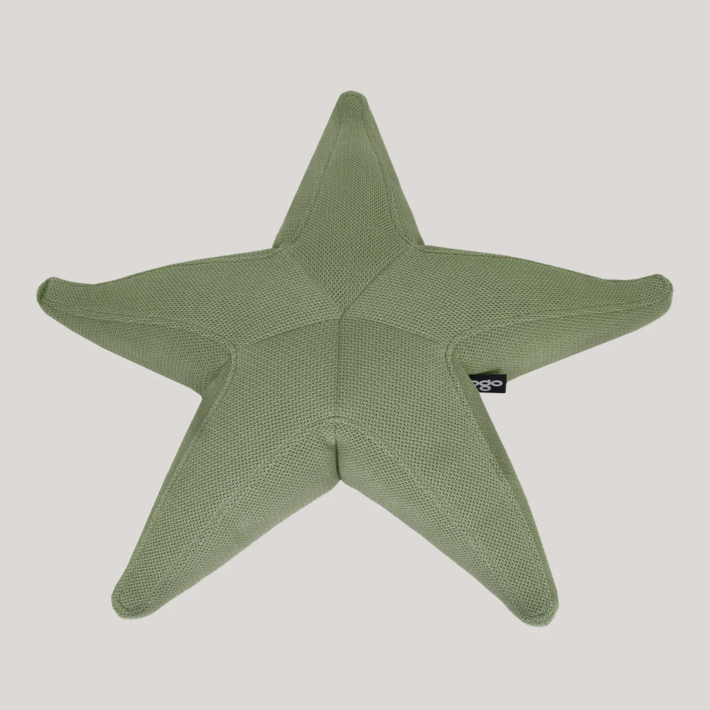 Starfish floating star