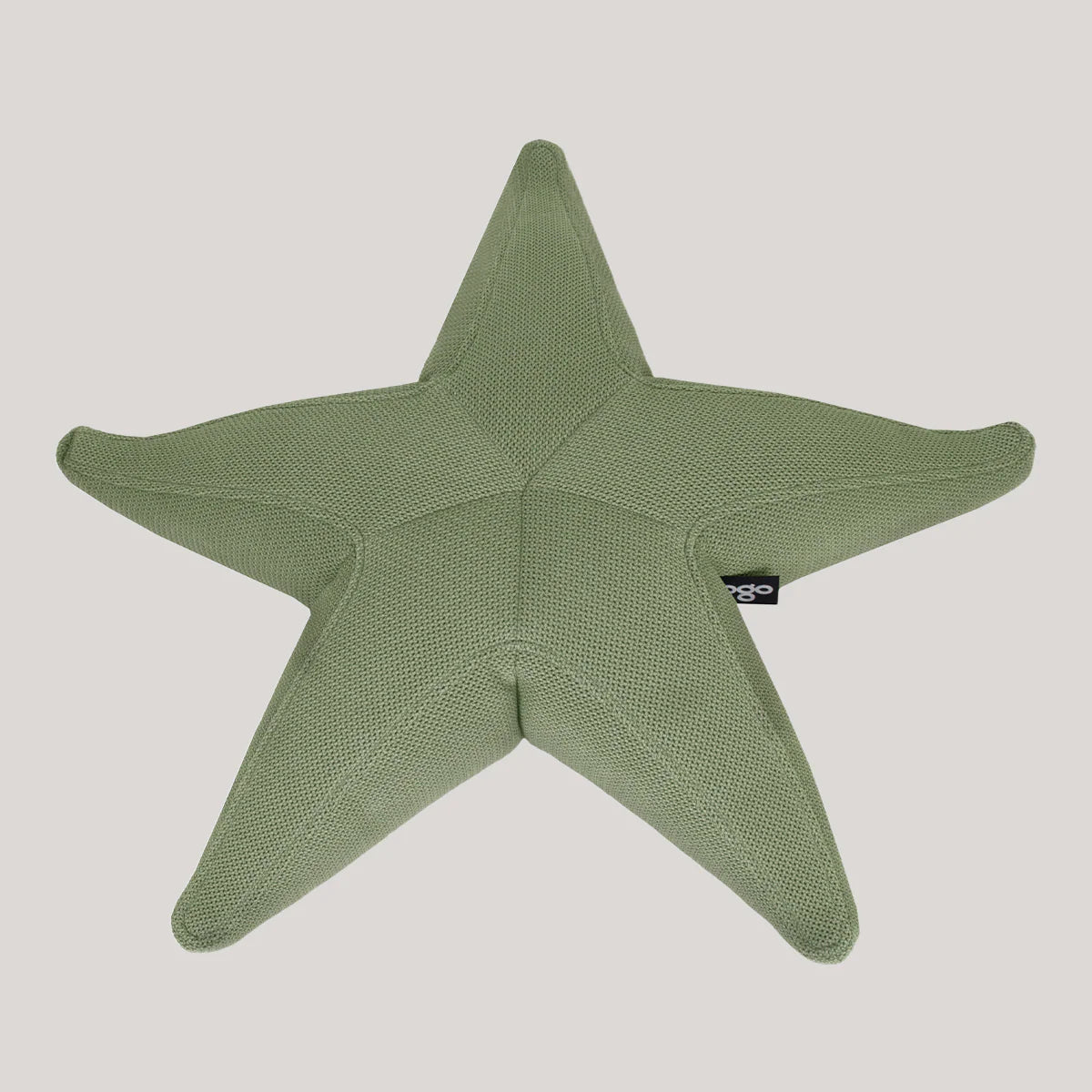 Starfish floating star