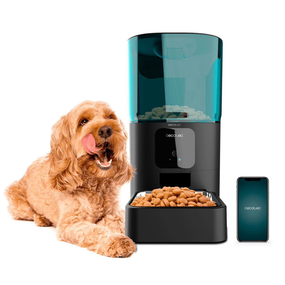 Pumba 6000 Purrfect Metal Smart