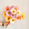 Crepe paper flowers, Icelandic poppies, bouquet of bride in pastel tones
