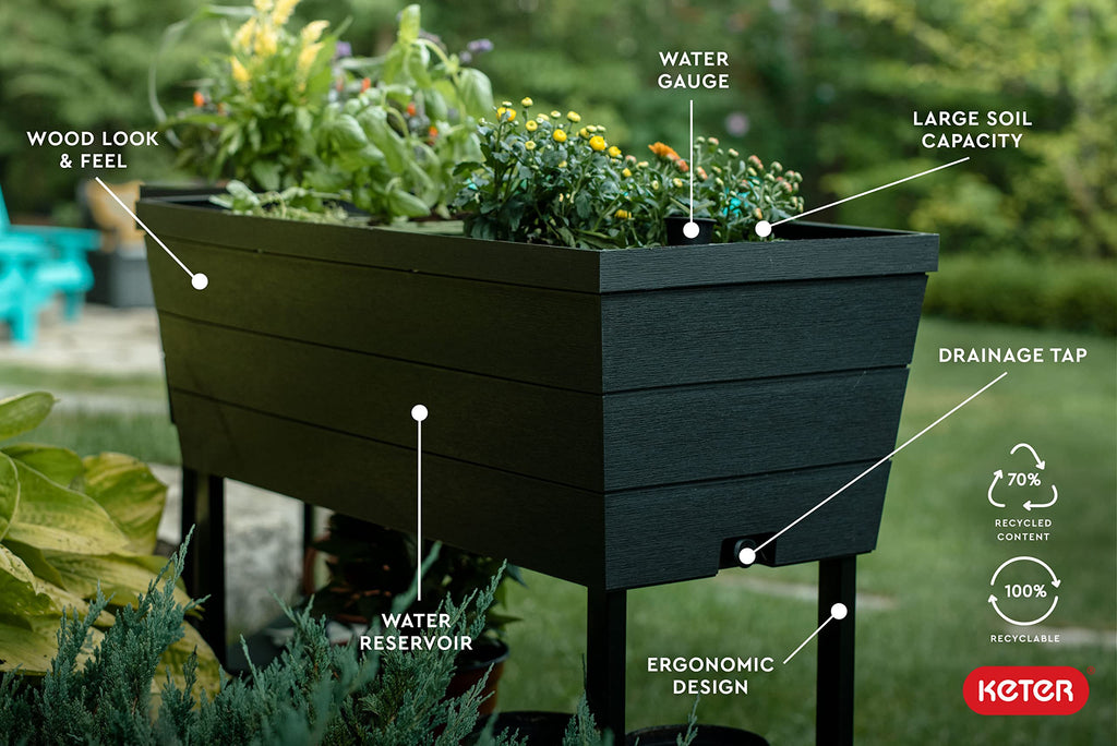 Keter Bloomer High Plastic Gardening in Grafito