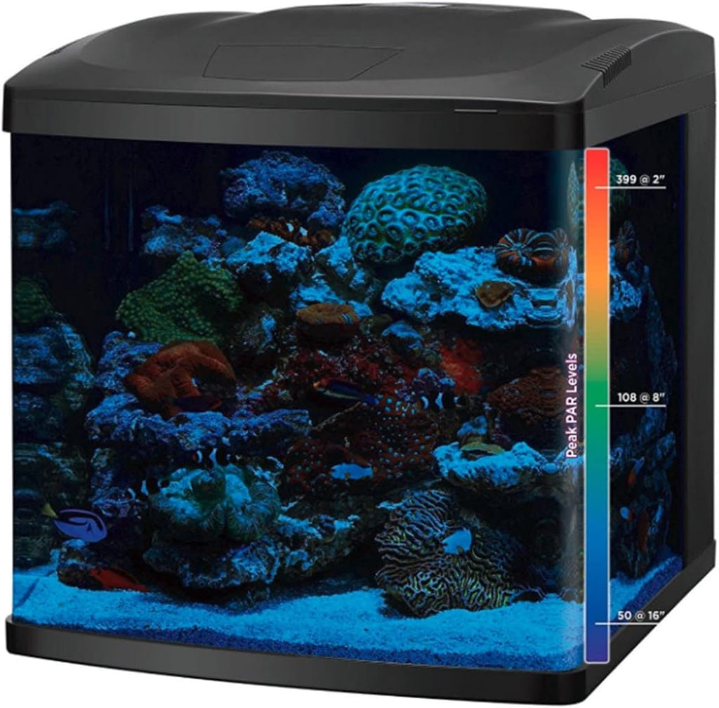 LED and Combined Aquarium Kit (32-gallon Aquarium Kit with Support)
