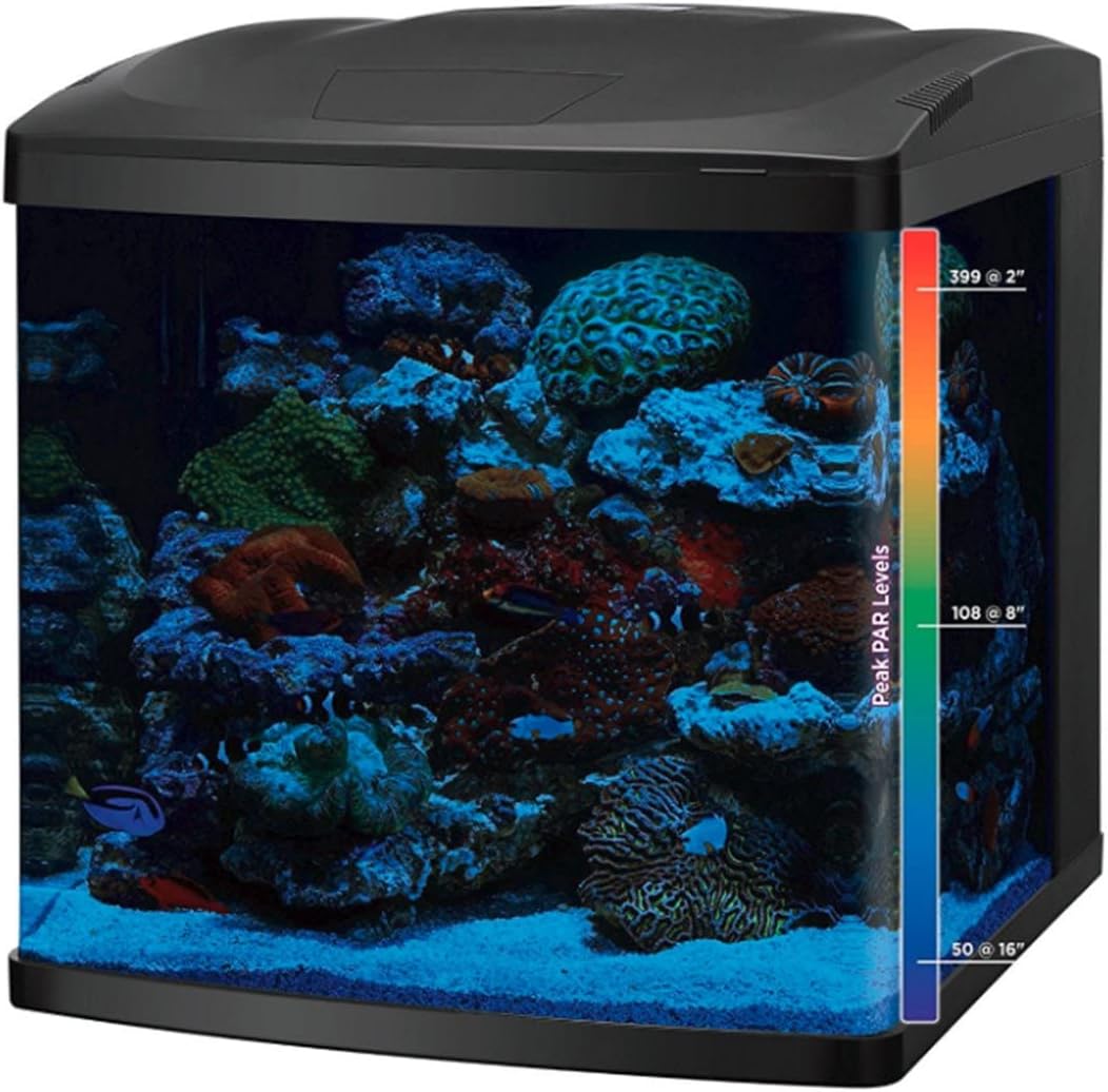 LED and Combined Aquarium Kit (32-gallon Aquarium Kit with Support)