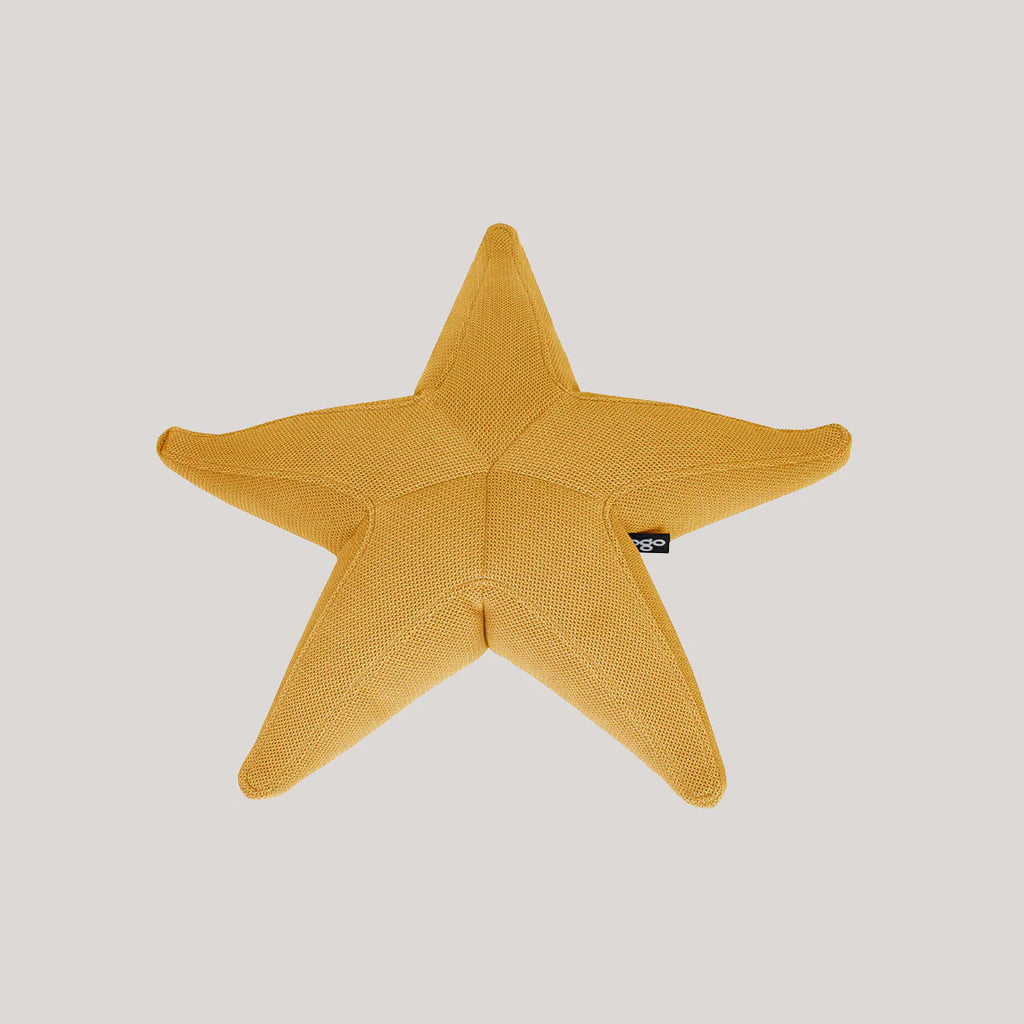 Starfish floating star
