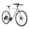 Electric bike Sprint