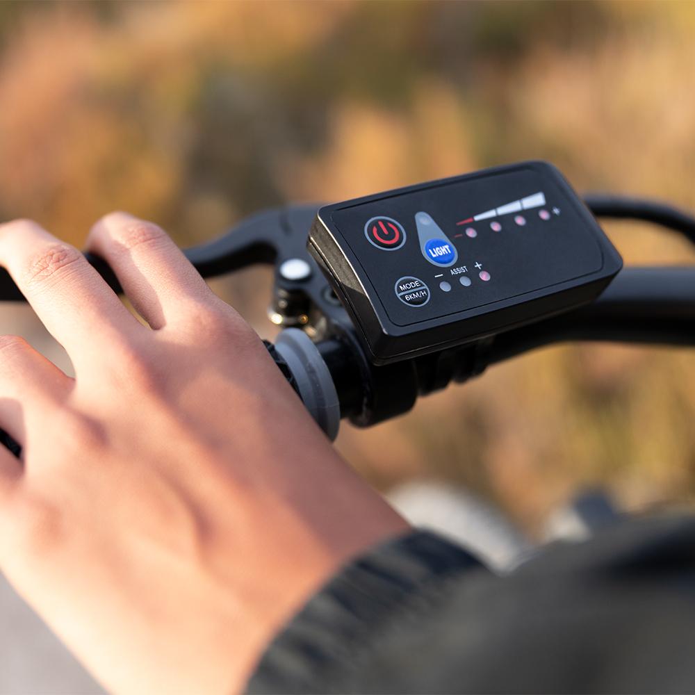 E-Xplore electric bike